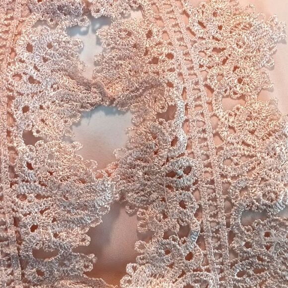 Zac & Rachel Women Light Pink Lace And Sheer Sleeveless Blouse sz L Boho Chic - Picture 5 of 8